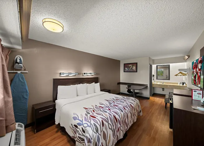 Red Roof Inn Dallas - Dfw Airport North